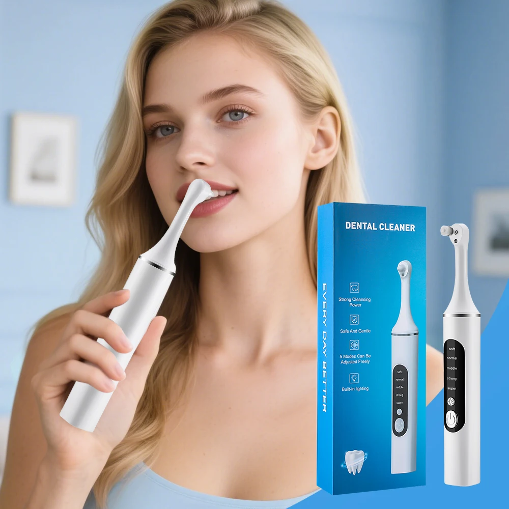 전동 치아 광택기 치아 미백 클리너 6개 브러시 헤드  - Teeth Whitening Toothbrush 리뷰 및 가격