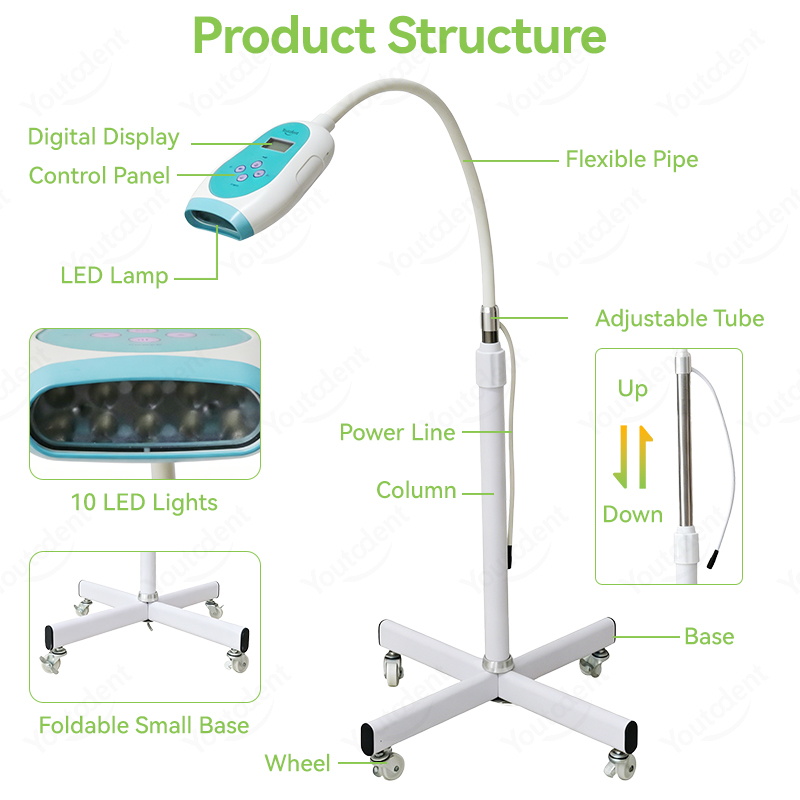 50W 치과용 터치스크린 3색 치아 미백기 냉광 램프  - Teeth Whitening Light 리뷰 및 가격