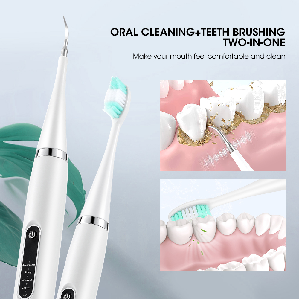 전기 치아 클리너 소닉 치과 스케일러, 치석 플라크 얼 - Teeth Whitening Toothbrush 리뷰 및 가격
